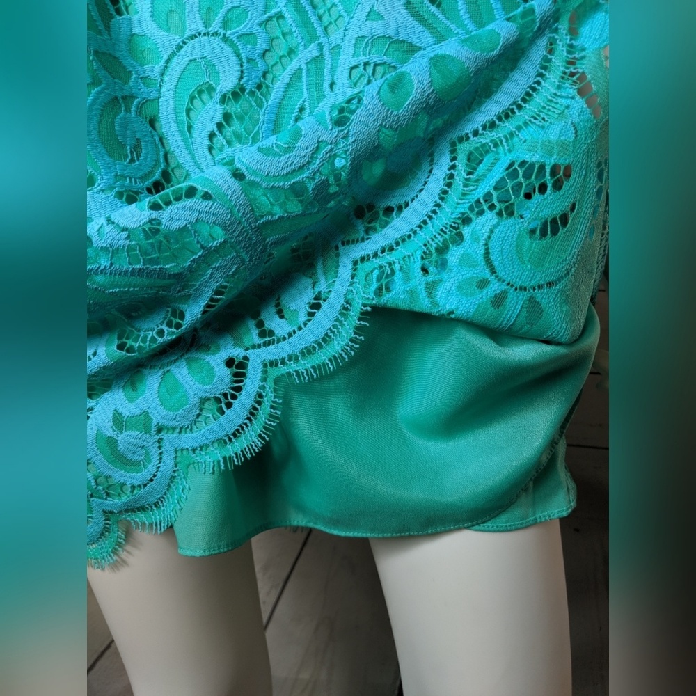 Lilly Pulitzer Courtin Lace Shift Dress - Picture 6 of 8